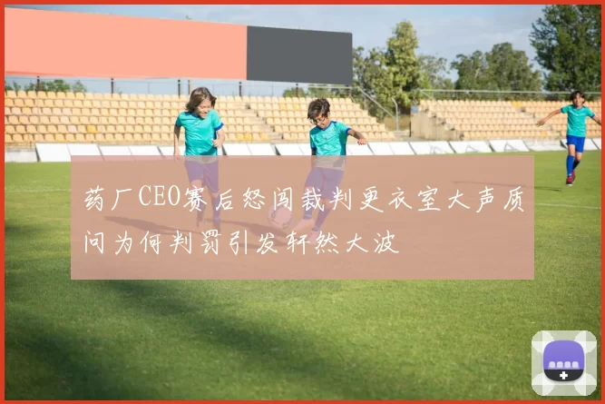 药厂CEO赛后怒闯裁判更衣室大声质问为何判罚引发轩然大波