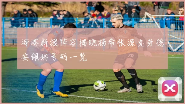海港新援阵容揭晓杨希张源克劳德安佩姆号码一览